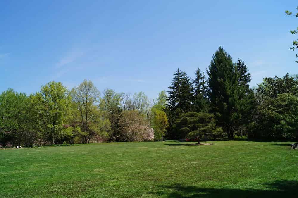 Tree Pruning And Maintenance Services image