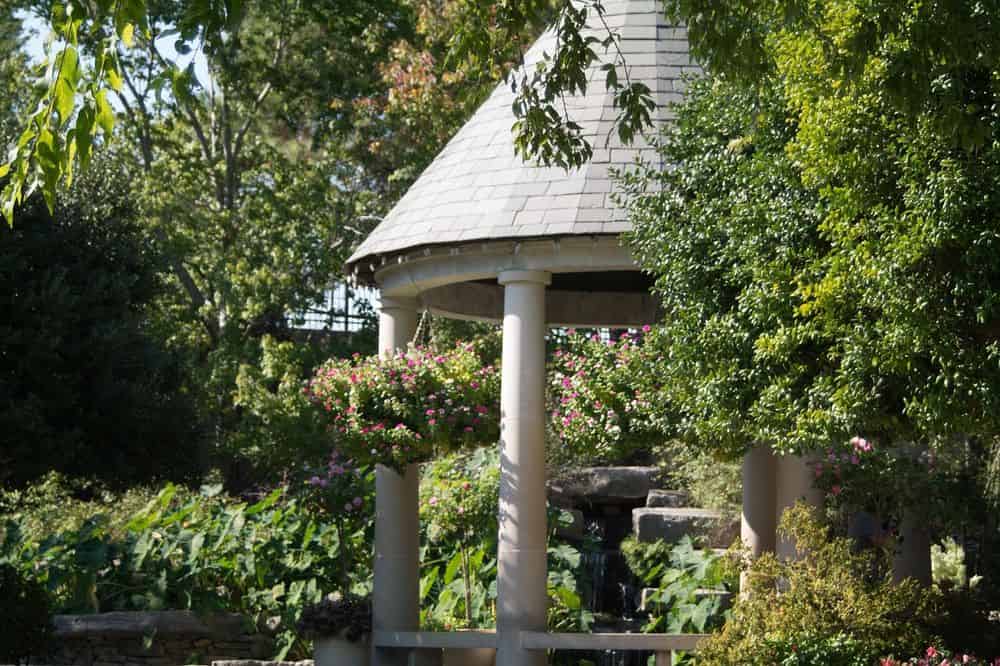 Plant Installation Services image