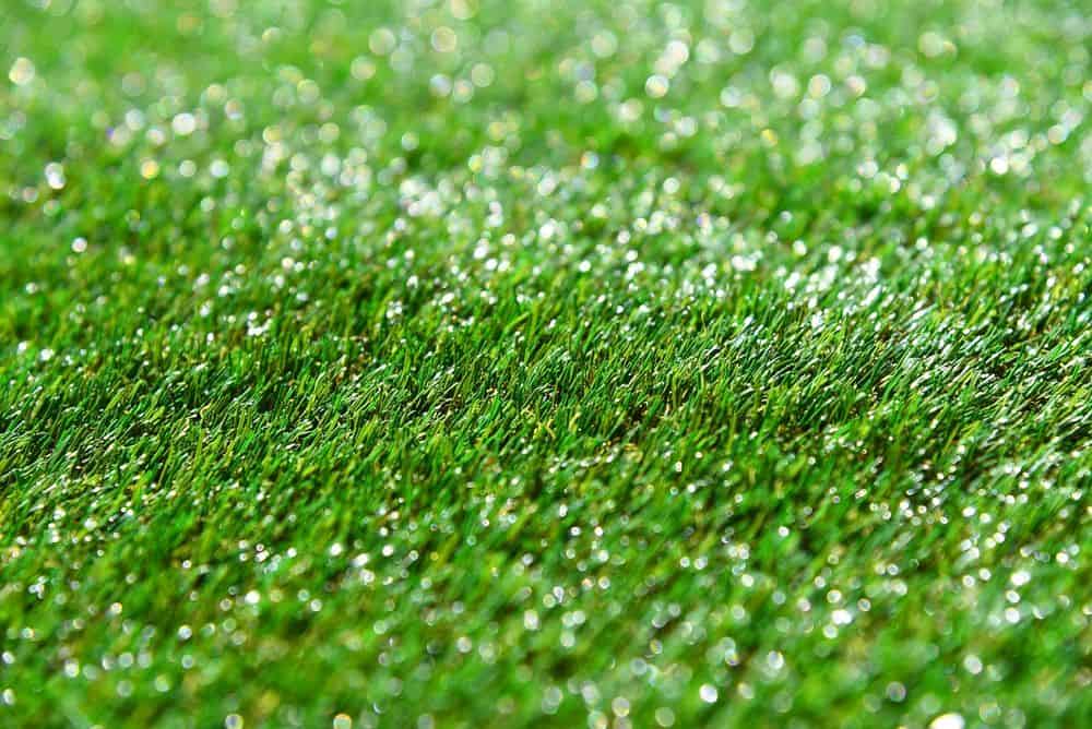 Lawn Mowing Services image