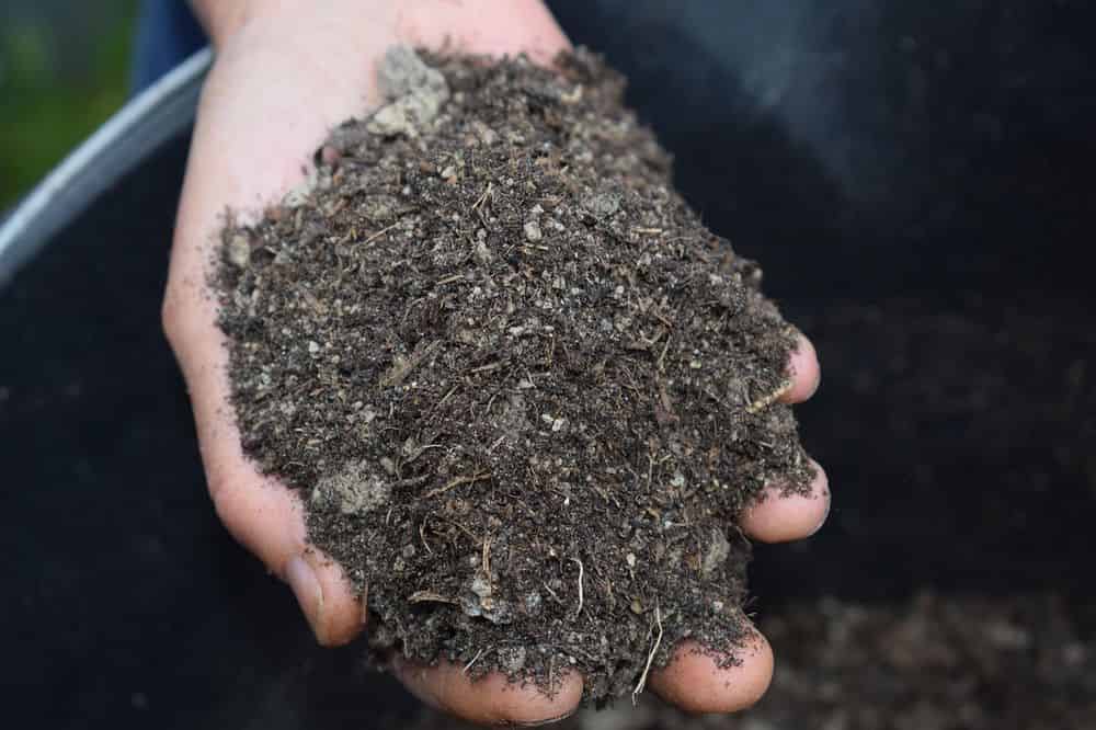 Mulching Services image